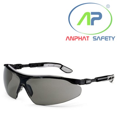 Kính Uvex  9160.076